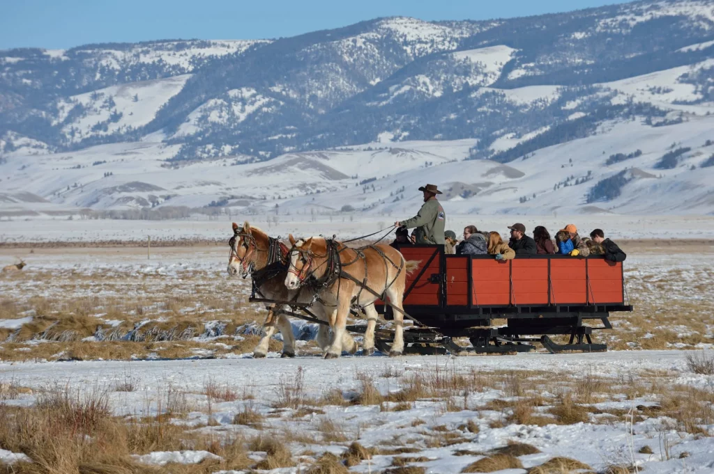 horses towing people in a large valley with snow capped mountains in the background